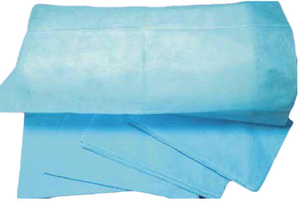 Disposable Pillowcase
